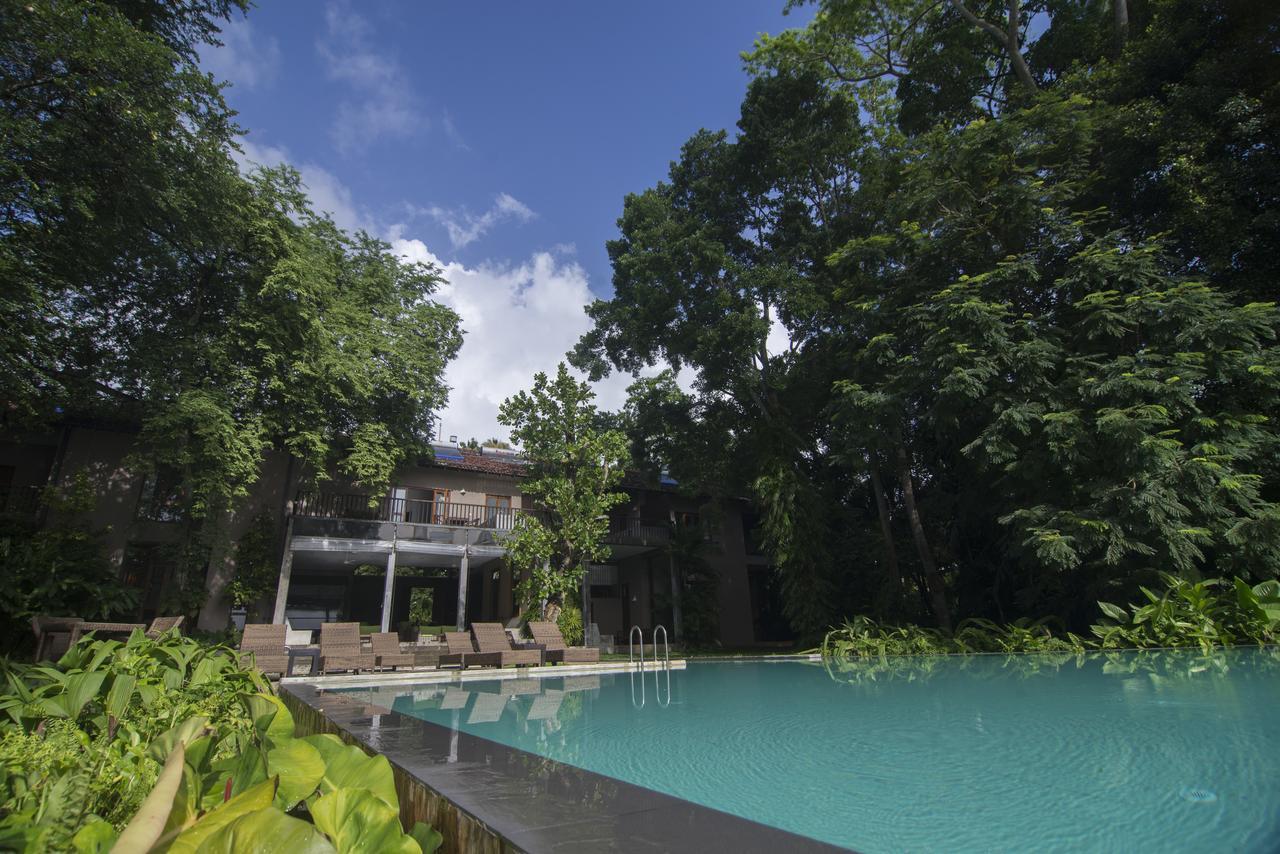 Roman Lake Ayurveda Boutique Resort - Level 1 Certified Ahungalla Exterior photo